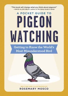 Cover of Pocket Guide to Pigeon Watching