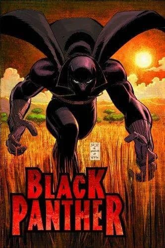 Cover of Black Panther: Who Is the Black Panther?